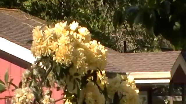 Panasonic SDR-H79 Cam 16:9 Ratio Recording Test смотреть онлайн