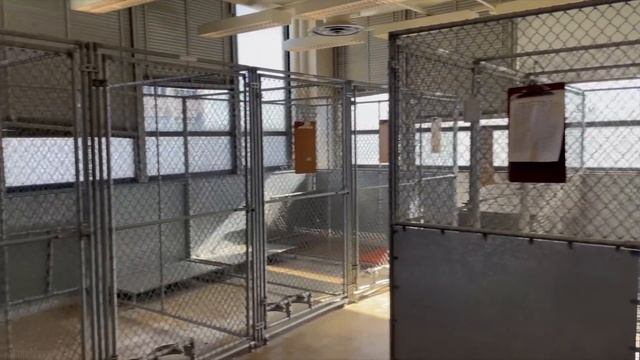 We Found an ABANDONED Animal Testing Lab смотреть онлайн