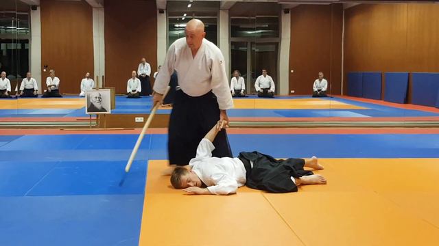 Shomen uchi kotegaeshi Bokken & Tanto смотреть онлайн