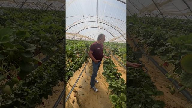 28 января 2024 г. смотреть онлайн