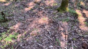 Отстрел на стабильность  pcp пистолета Вайгач ППК-17