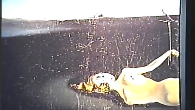 salvador dali (zootropo el juguete mágico de salvador dali -documental completo) смотреть онлайн
