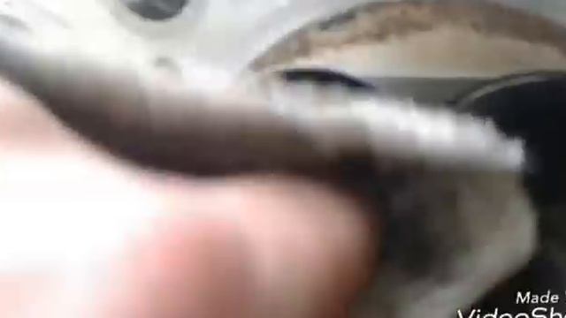 HOW TO DO A VALVE JOB! Bent Valves, Broken Timing Belt, No Machine Shop! смотреть онлайн