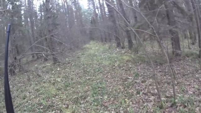 Охота с Русскими гончими на зайца 1 11 20 смотреть онлайн