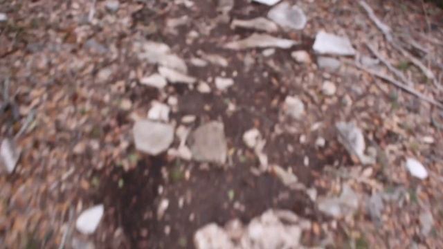 The Shadow and the Prince - EP1 "Swept Away" | Schleich Series смотреть онлайн
