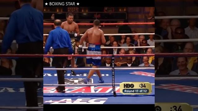 Шейн Мозли - Рикардо Майорга ● ЛУЧШИЕ МОМЕНТЫ БОЯ!? Shane Mosley vs Ricardo Mayorga ● HIGHLIGHTS!? смотреть онлайн