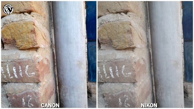 Canon EOS R1X Vs Nikon D900 Camera Test I Coming Soon !! смотреть онлайн