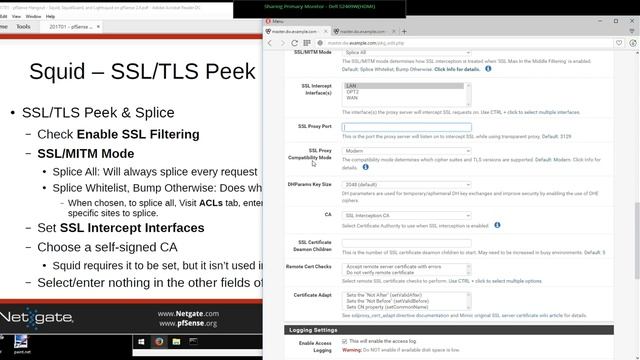 Squid, SquidGuard, And Lightsquid On PfSense 2.4
