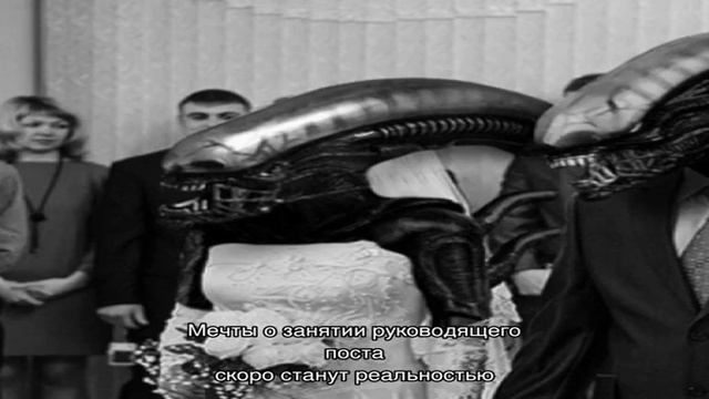 «Сонник чужая Свадьба приснилась, к чему снится во сне чужая Свадьба»