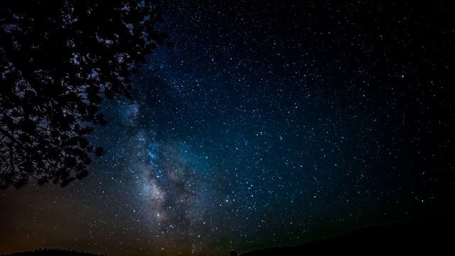 Piano Fantasia смотреть онлайн
