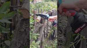 Секатор + сучкорез Makita, аккумуляторный набор садовода