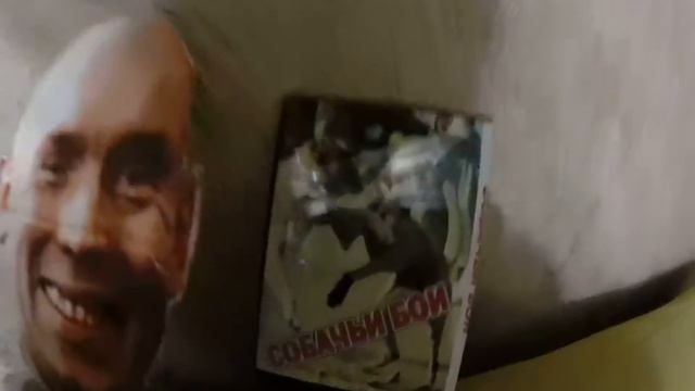 Собачьи бои смотреть онлайн
