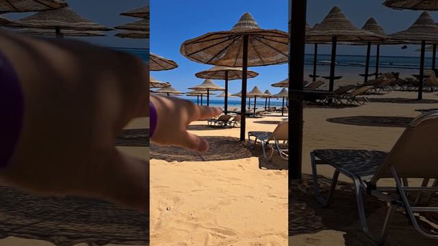 Jaz sharks bay удивил! смотреть онлайн