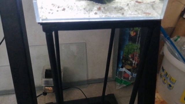 Мини аквариум 5 литров. уже не знаю какое по счету возвращение) смотреть онлайн