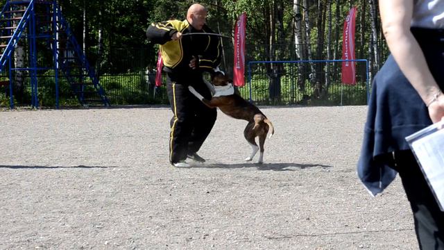 Участник № 10 4 этап смотреть онлайн