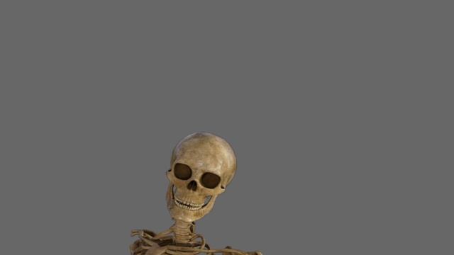 Idk why I made this Halloween Animation (Stick Nodes Pro Animation) смотреть онлайн