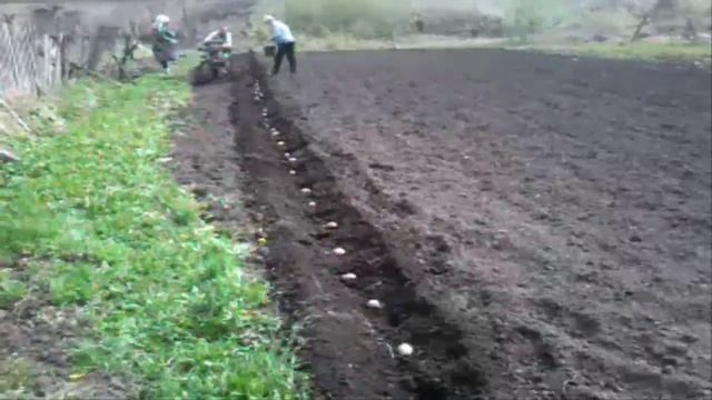 Сажаем картошку под мотоблок Урал смотреть онлайн