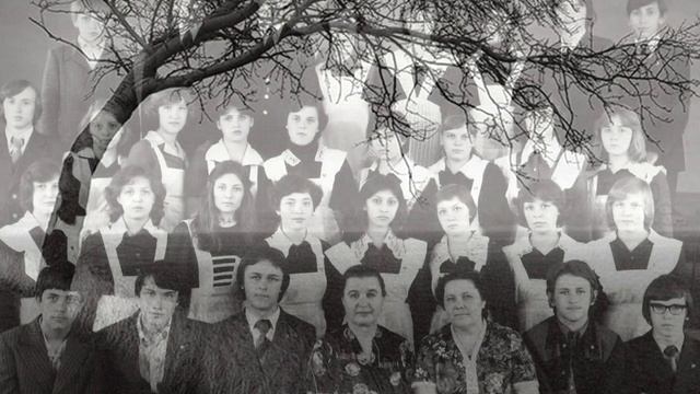 Голубка смотреть онлайн