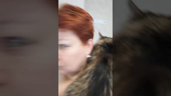 Как я  прихлопнула Муху!