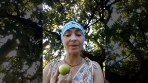 Дачный сезон.Что можно сделать из незрелых  и червивых яблок,которые падают с Вашей яблони.