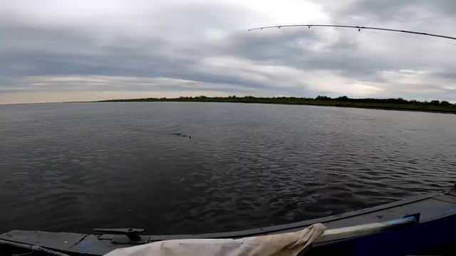 ЛОВЛЯ ТРОЛЛИНГОМ С ЛОДКИ НА РЕКЕ ПЕЧОРА смотреть онлайн