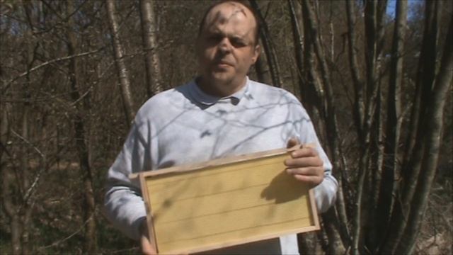 Пчеловодство Как Посчитать Пчёл смотреть онлайн