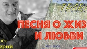 Песня о жизни и любви Полынь трава (В. Сёмин) разбор на гармони с цифрами