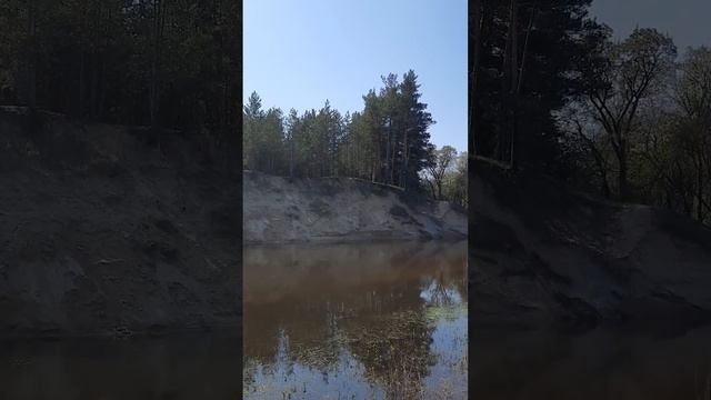 ОРГАНИЧЕСКОЕ ЗЕМЛЕДЕЛИЕ ДЕРЕВЬЯ КУСТЫ ВИНОГРАД 1 смотреть онлайн