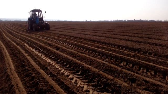 МТЗ 892 Морковь под капельный полив смотреть онлайн