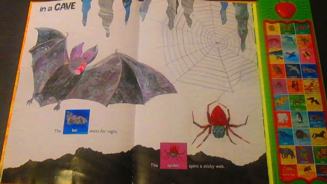 Hear Bear Roar ERIC CARLE смотреть онлайн