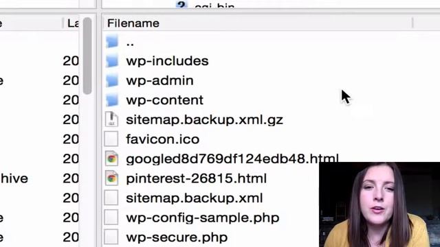 FTP to your WordPress Host смотреть онлайн