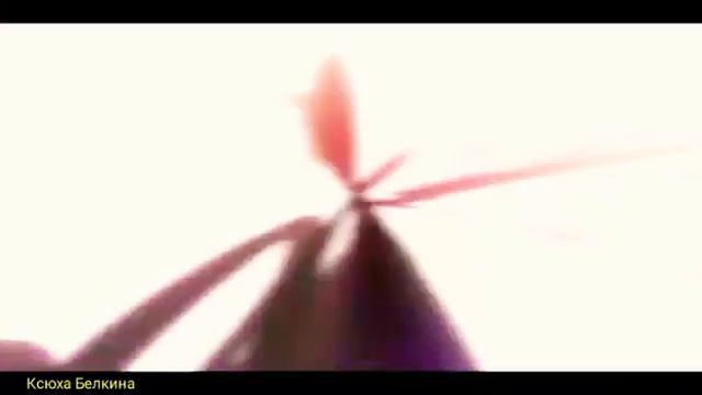 Аниме клип - Angeldust смотреть онлайн