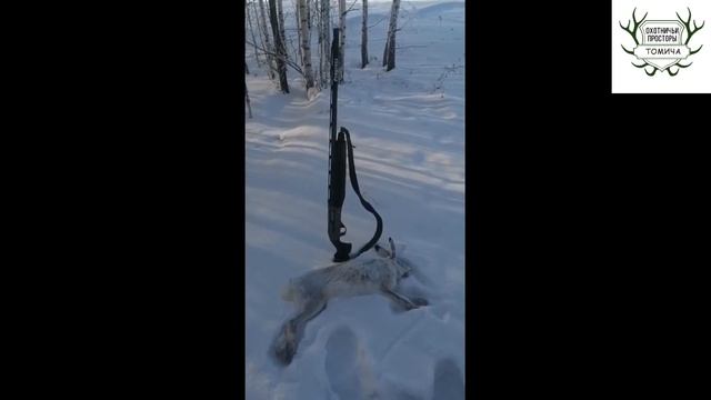 Как люди охотятся с дульными устройствами Progress 0,25 0,5 0,75. Часть #14. Купить чок Прогресс.