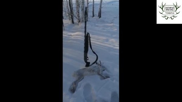 Как люди охотятся с дульными устройствами Progress 0,25 0,5 0,75. Часть #14. Купить чок Прогресс.