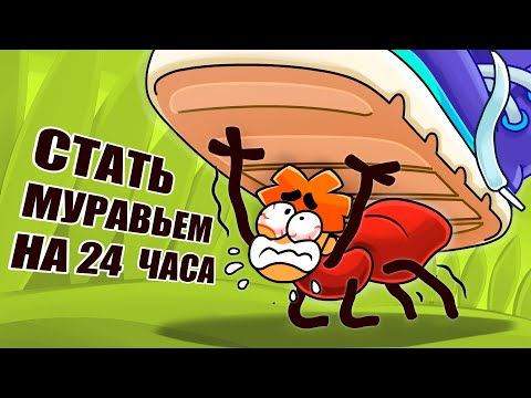 Что Если Ты Стал Муравьем На 24 Часа_ смотреть онлайн