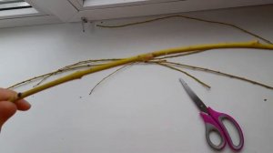 Качели для попугаев своими руками| КАК СДЕЛАТЬ ИГРУШКИ СВОИМИ РУКАМИ |   Hand Made | dashonok