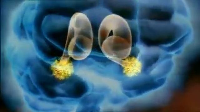 лабиринты разума человека смотреть онлайн