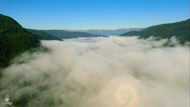 Музыка лечит сердце и сосуды🌿 Успокаивающая музыка восстанавливает нервную систему,расслабляющая #8 смотреть онлайн