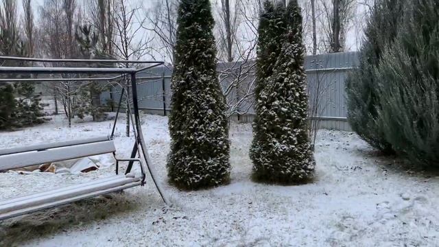 Мой зимний Розовый сад. смотреть онлайн
