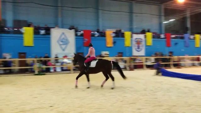 ?Выставка - Шоу лошадей 2023. Синхронное ПА-ДЕ-ДЕ. Кабардинские лошади Амина и Саида.