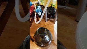Искусственное старение дистиллята