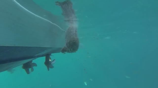 Snapper & Grouper Fishing; How To Rig For Snapper & Grouper - Florida Sport Fishing TV