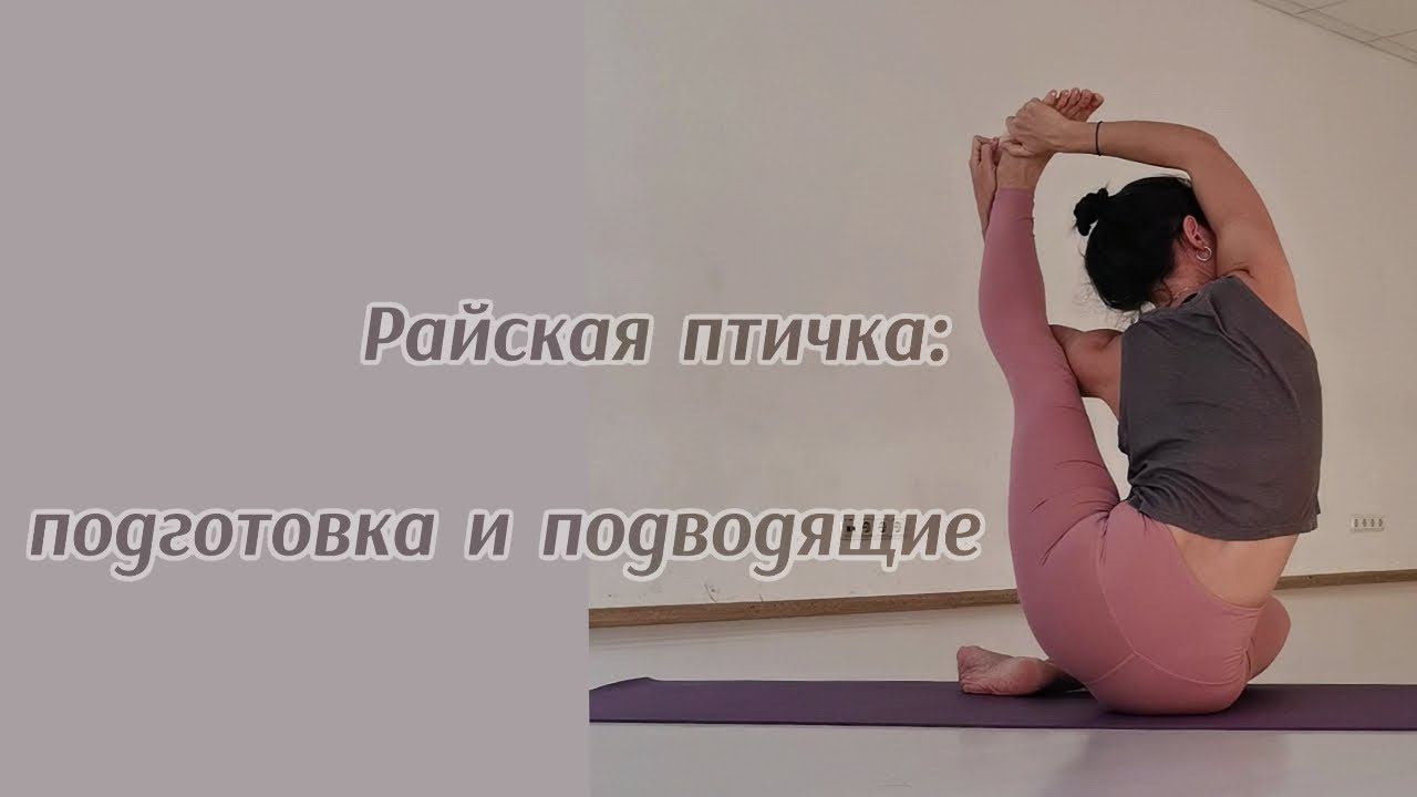 Райская птичка в йоге или Сварга двиджасана