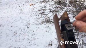 ✅ОХОТА НА МЕЛКУЮ ПТИЦУ С ПНЕВМАТИКОЙ⚠️ ОХОТА НА ВОРОНУ?