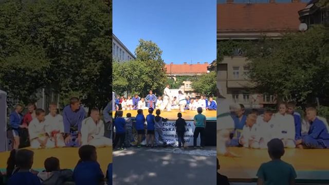 Дзюдо, Ужгород, показательные смотреть онлайн