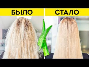 30 Способов использовать алоэ вера для ухода за кожей.
