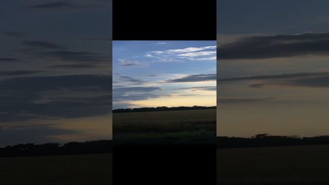 Дорога домой смотреть онлайн