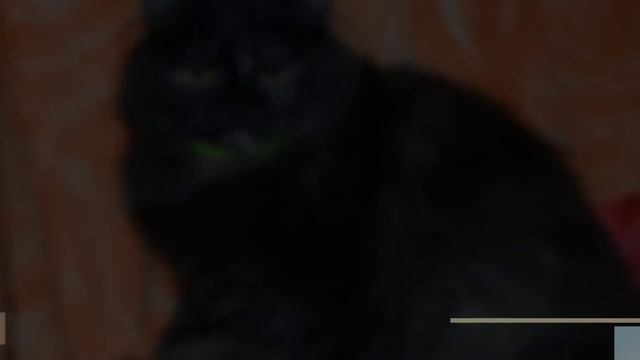 Ищут дом смотреть онлайн