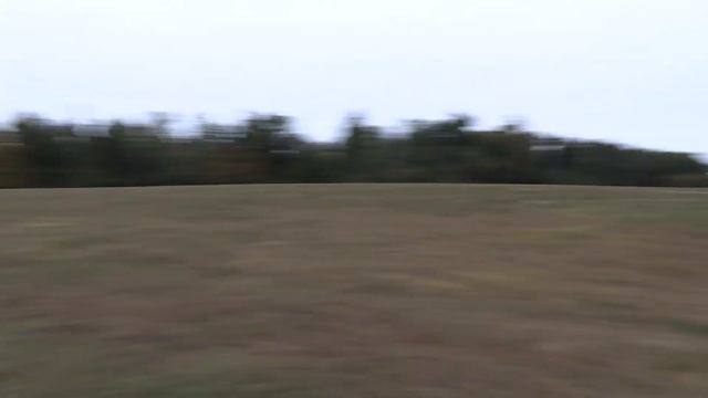 Fall Coyote Sequences And Sounds! (Kentucky Coyote Hunting) смотреть онлайн