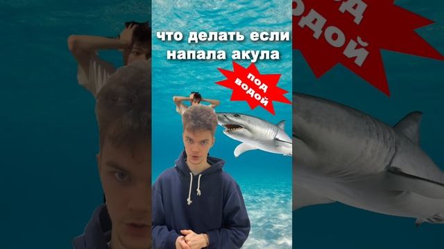 Что делать если напала акула смотреть онлайн